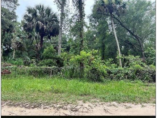 25040 E Avenue B Paisley FL 32767 O6301349 image2