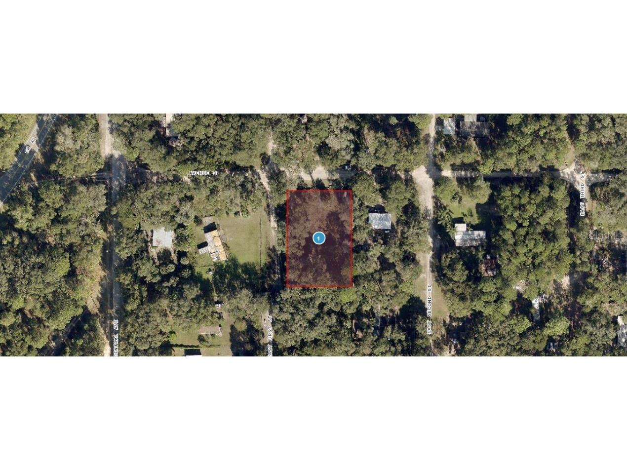 25040 E Avenue B Paisley FL 32767 O6301349 image3