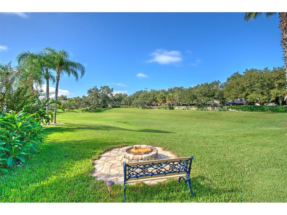 2505 Allwood Avenue Valrico FL 33596 TB8431903 image5