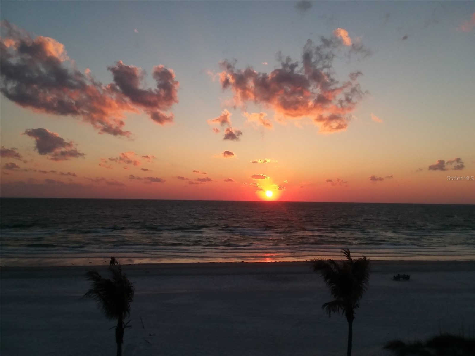 2505 Bay Boulevard #1 Indian Rocks Beach FL 33785 TB8517762 image14