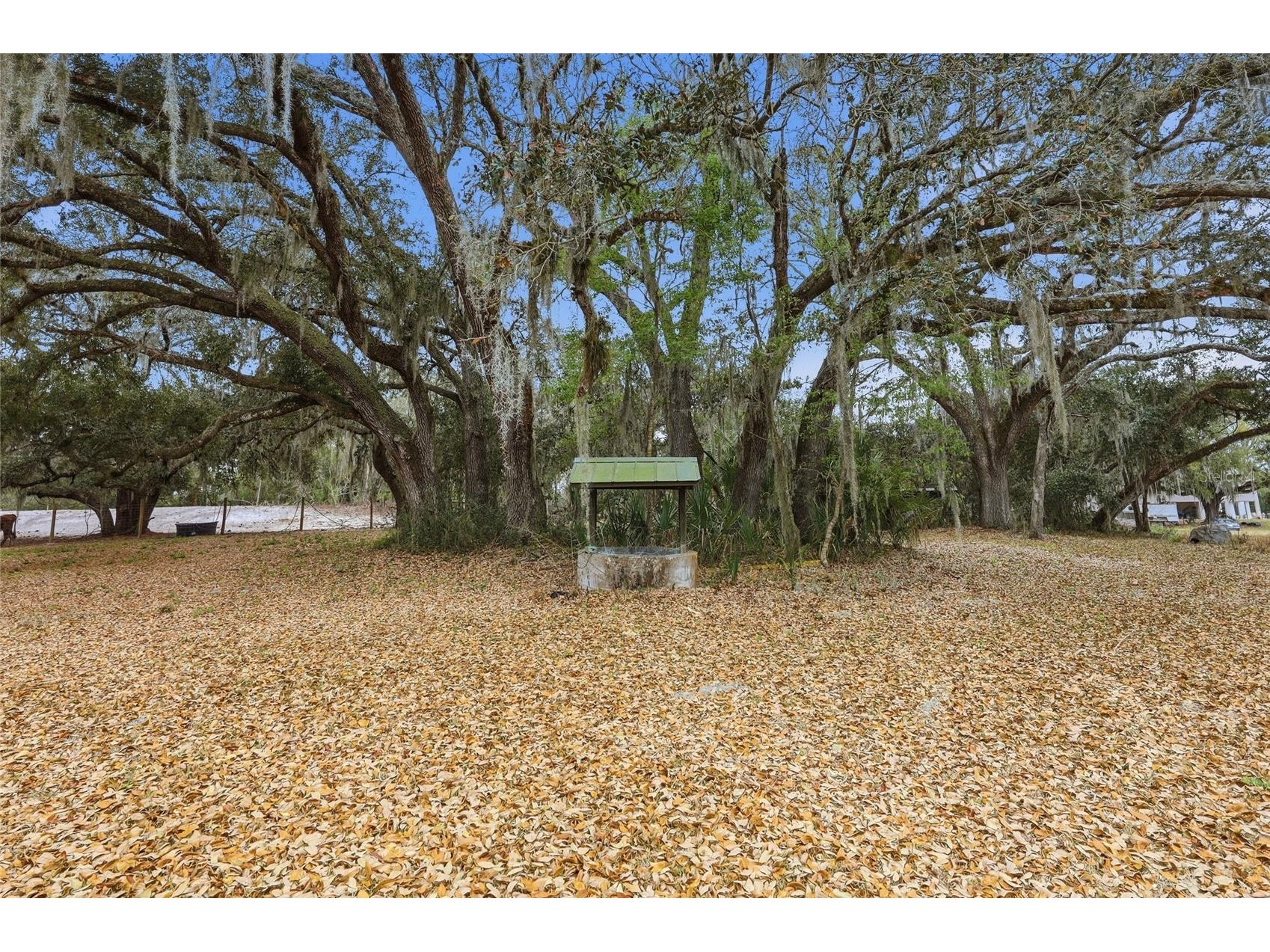 2505 Canal Road Lake Wales FL 33898 O6386137 image36