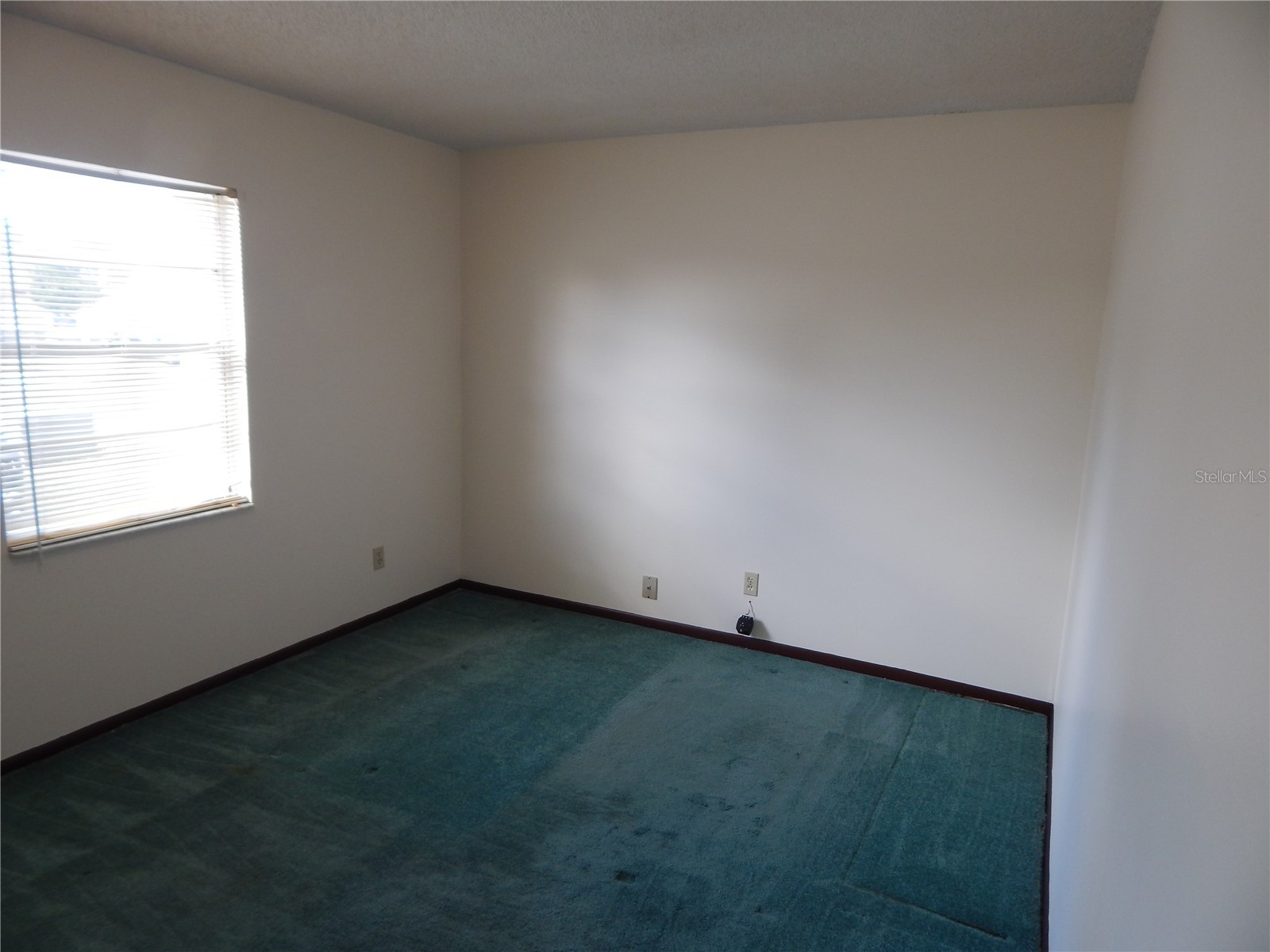 2505 Coral Avenue Kissimmee FL 34741 O6369113 image10