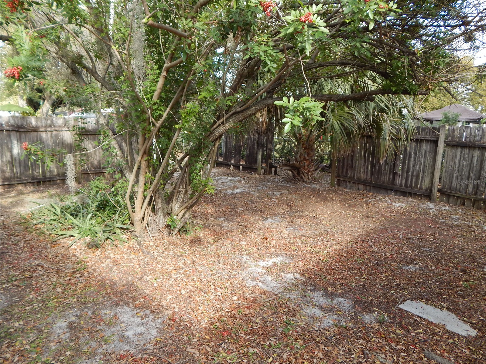 2505 Coral Avenue Kissimmee FL 34741 O6369113 image24