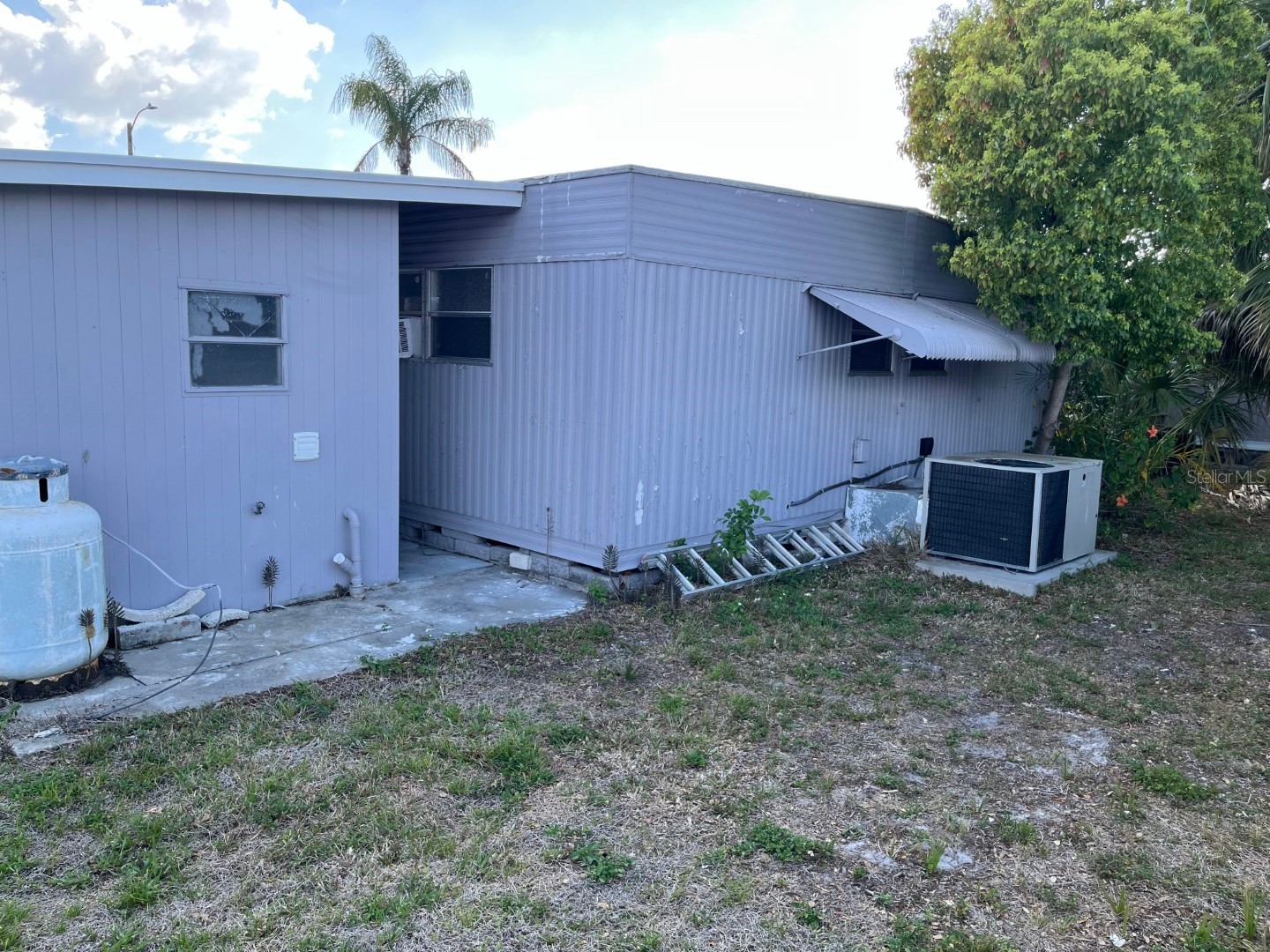 2505 E Bay Drive #77 Largo FL 33771 TB8495869 image4