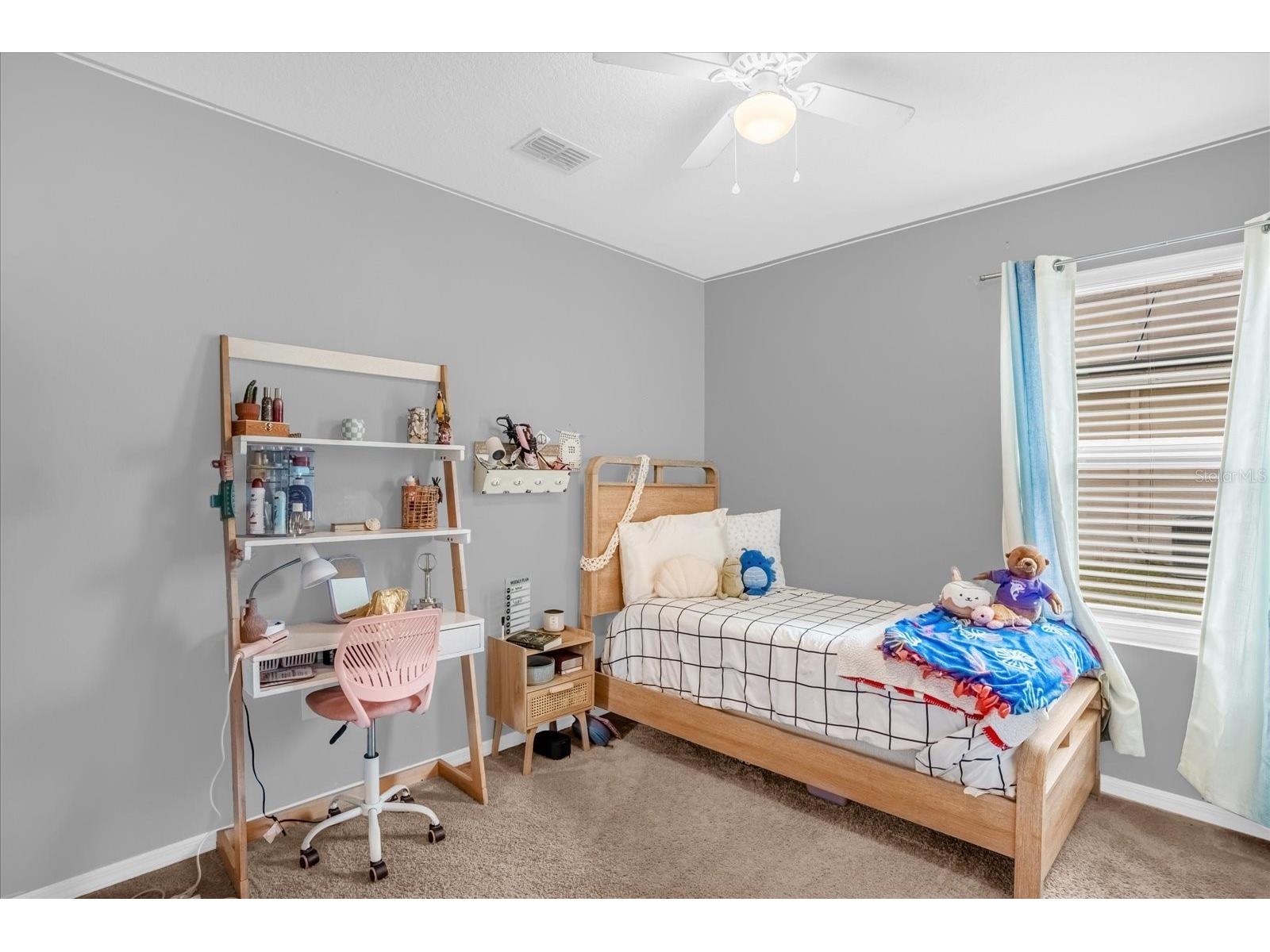 2505 Glacier Express Lane Tavares FL 32778 O6381090 image12