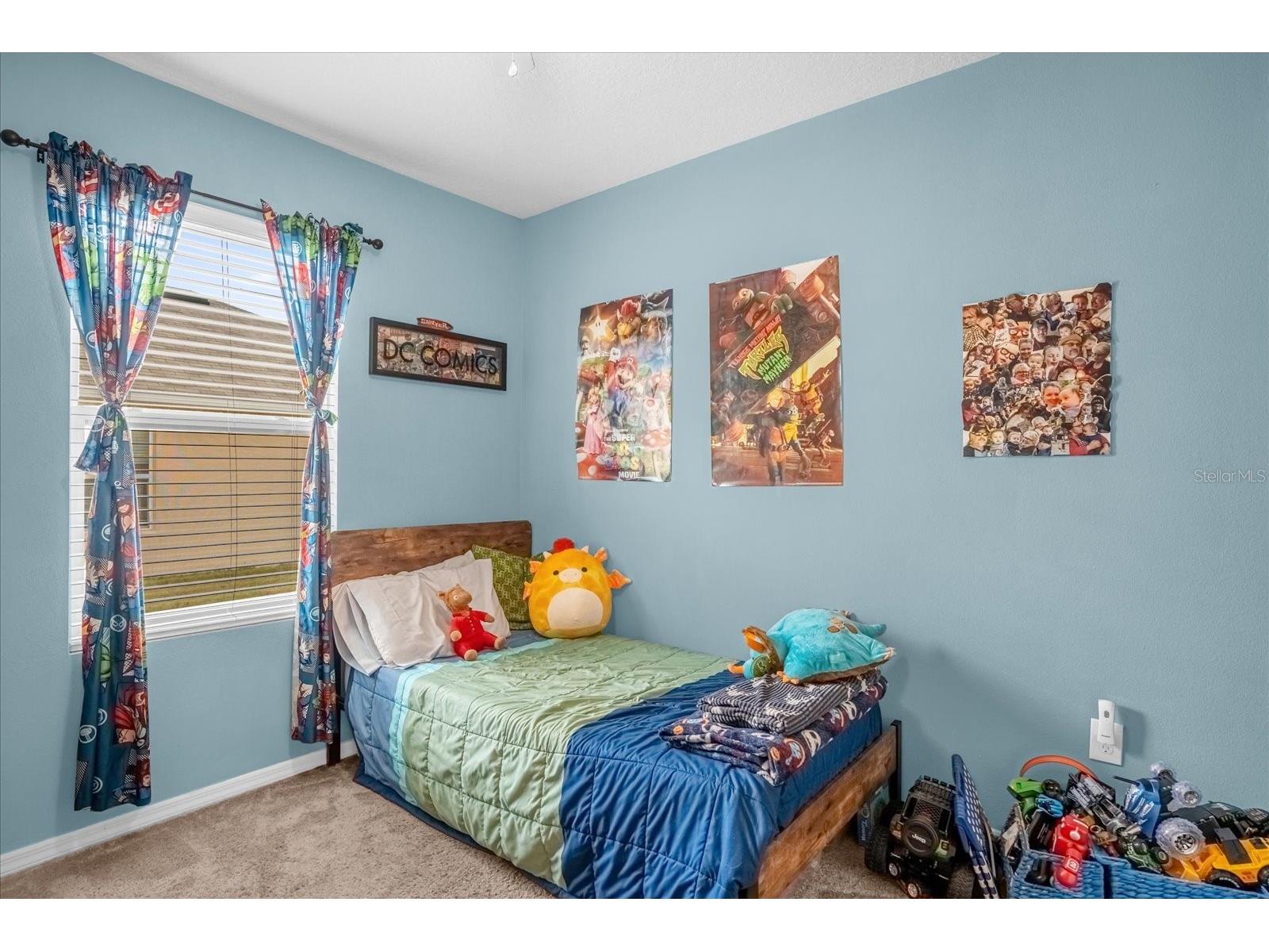 2505 Glacier Express Lane Tavares FL 32778 O6381090 image19