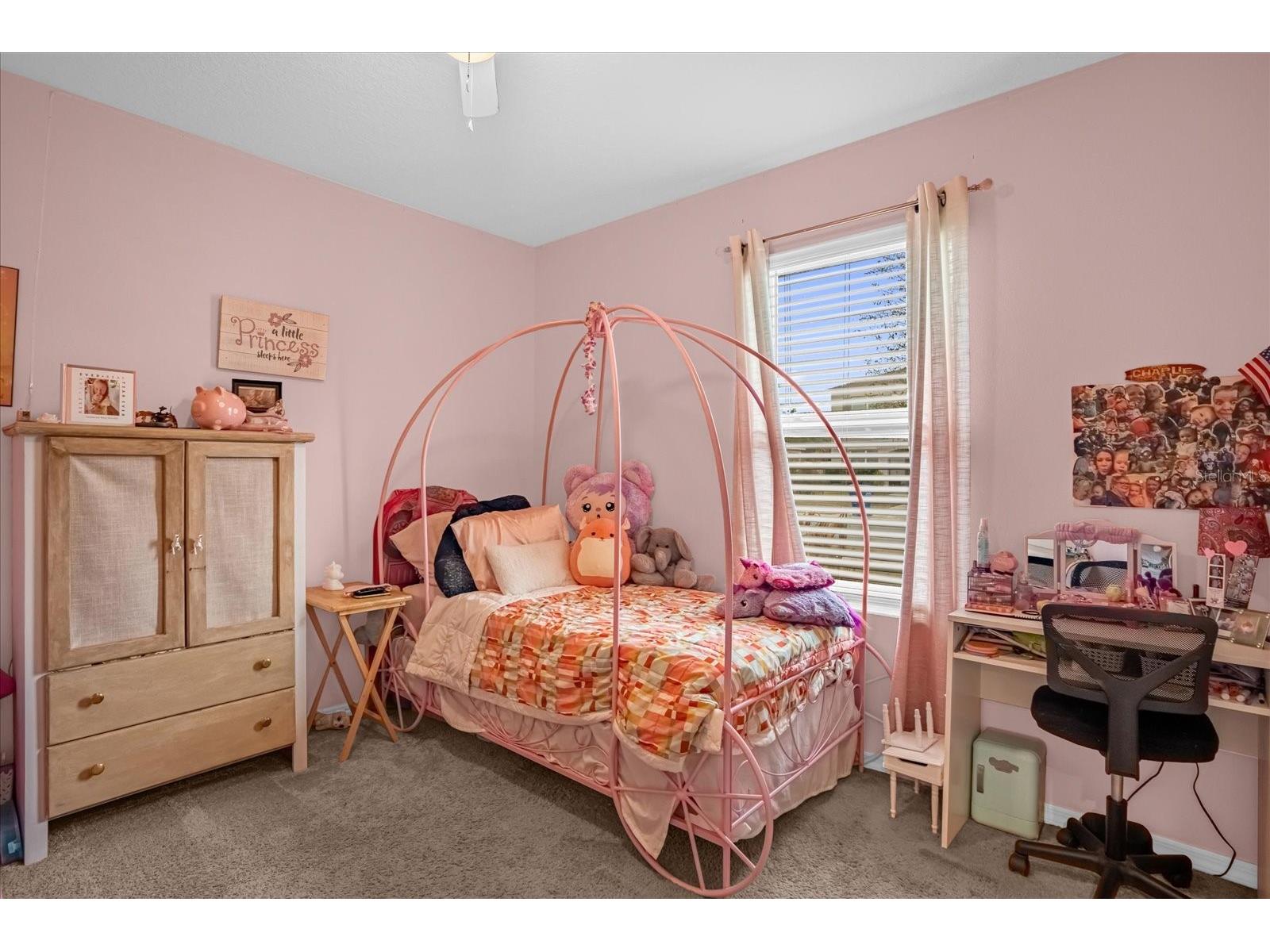 2505 Glacier Express Lane Tavares FL 32778 O6381090 image20