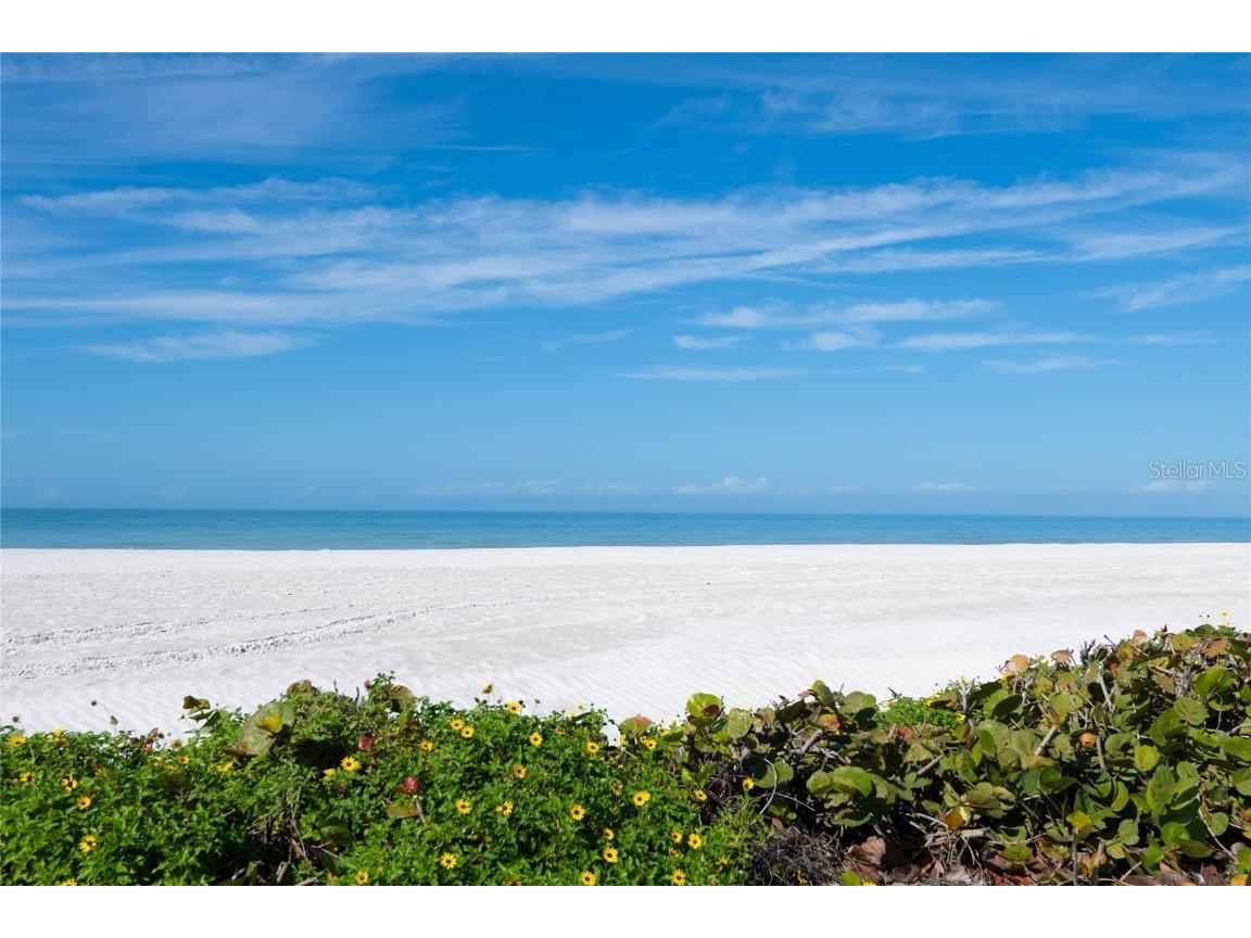 2505 Gulf Boulevard Belleair Beach FL 33786 - GULF OF MEXICO TB8458191 image32