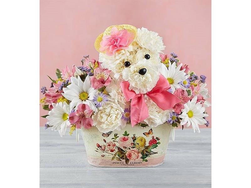 2505 NW 6th Street Gainesville FL 32605 GC534144 image16