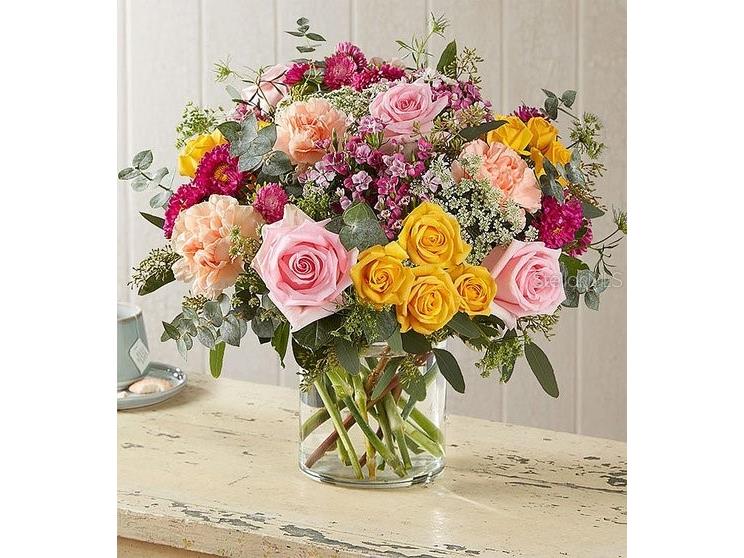 2505 NW 6th Street Gainesville FL 32605 GC534144 image17