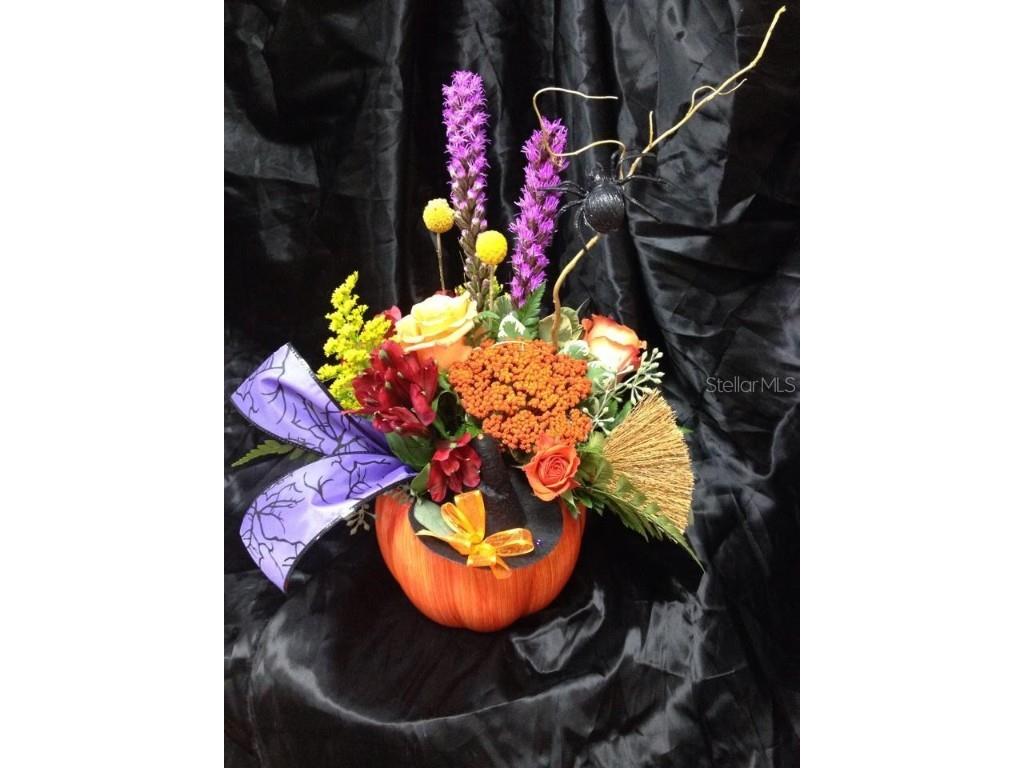 2505 NW 6th Street Gainesville FL 32605 GC534144 image3