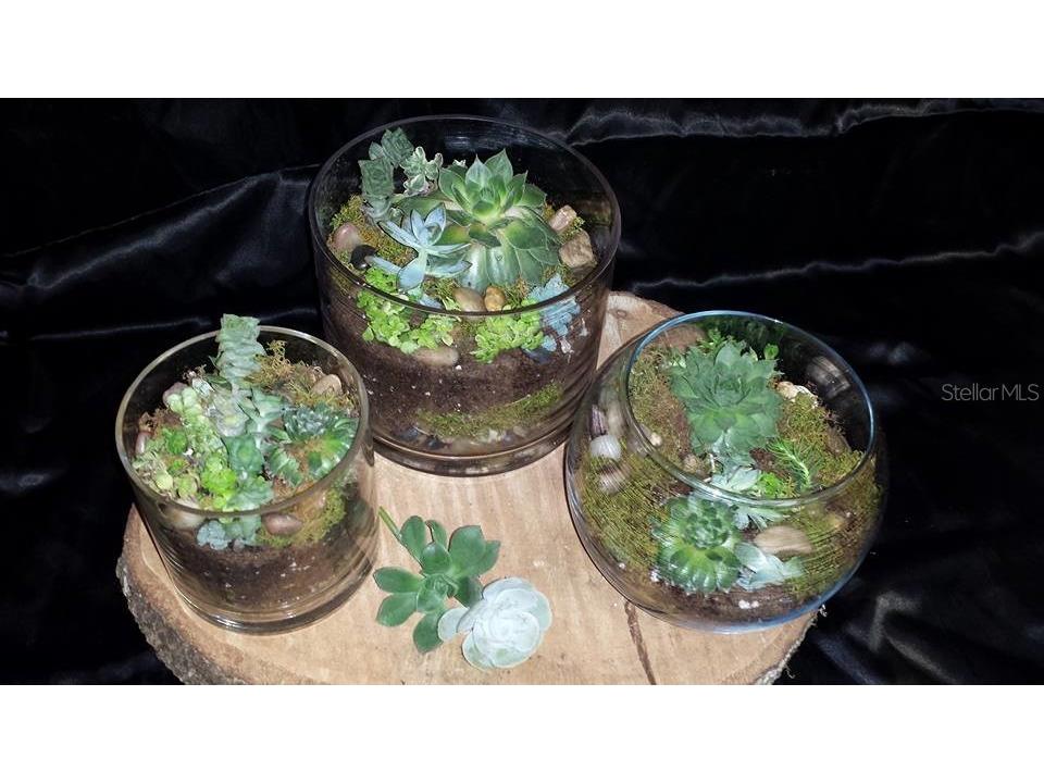 2505 NW 6th Street Gainesville FL 32605 GC534144 image9