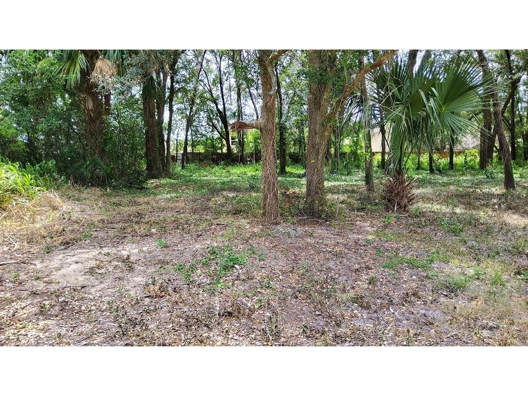 25050 Algonquin Avenue Mount Plymouth FL 32776 TB8506729 image1
