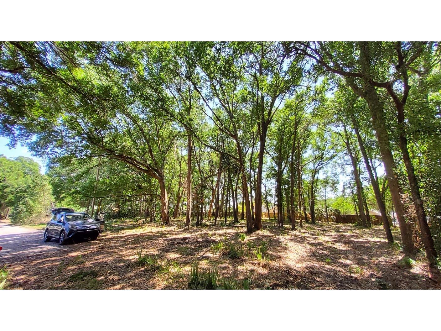25050 Algonquin Avenue Mount Plymouth FL 32776 TB8506729 image10