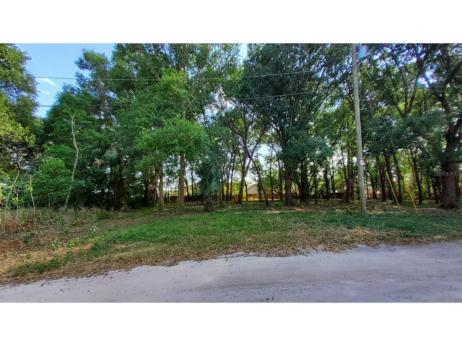 25050 Algonquin Avenue Mount Plymouth FL 32776 TB8506729 image3