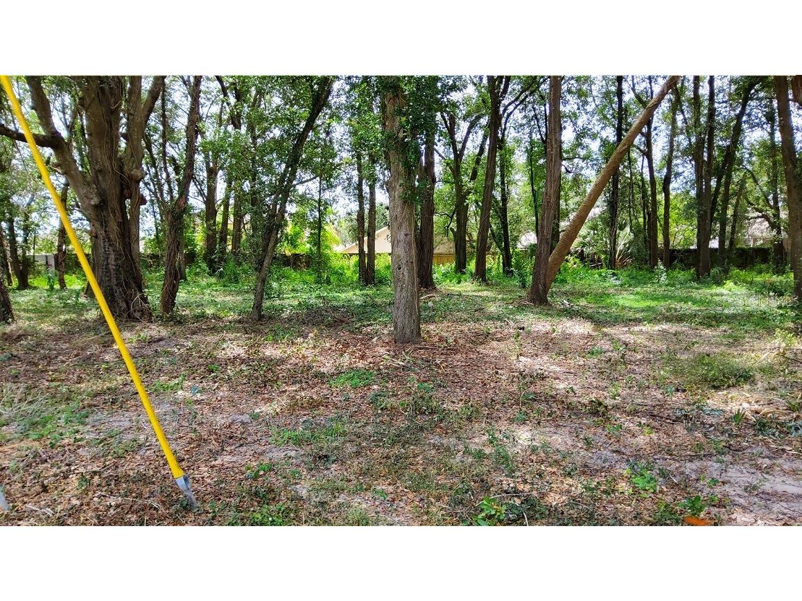 25050 Algonquin Avenue Mount Plymouth FL 32776 TB8506729 image4