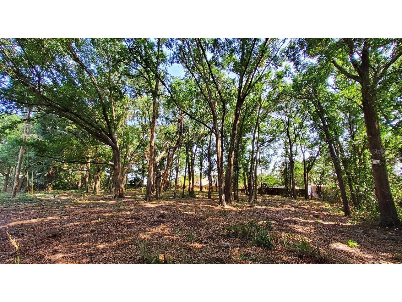 25050 Algonquin Avenue Mount Plymouth FL 32776 TB8506729 image5