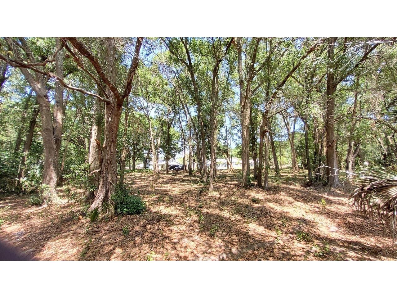 25050 Algonquin Avenue Mount Plymouth FL 32776 TB8506729 image6