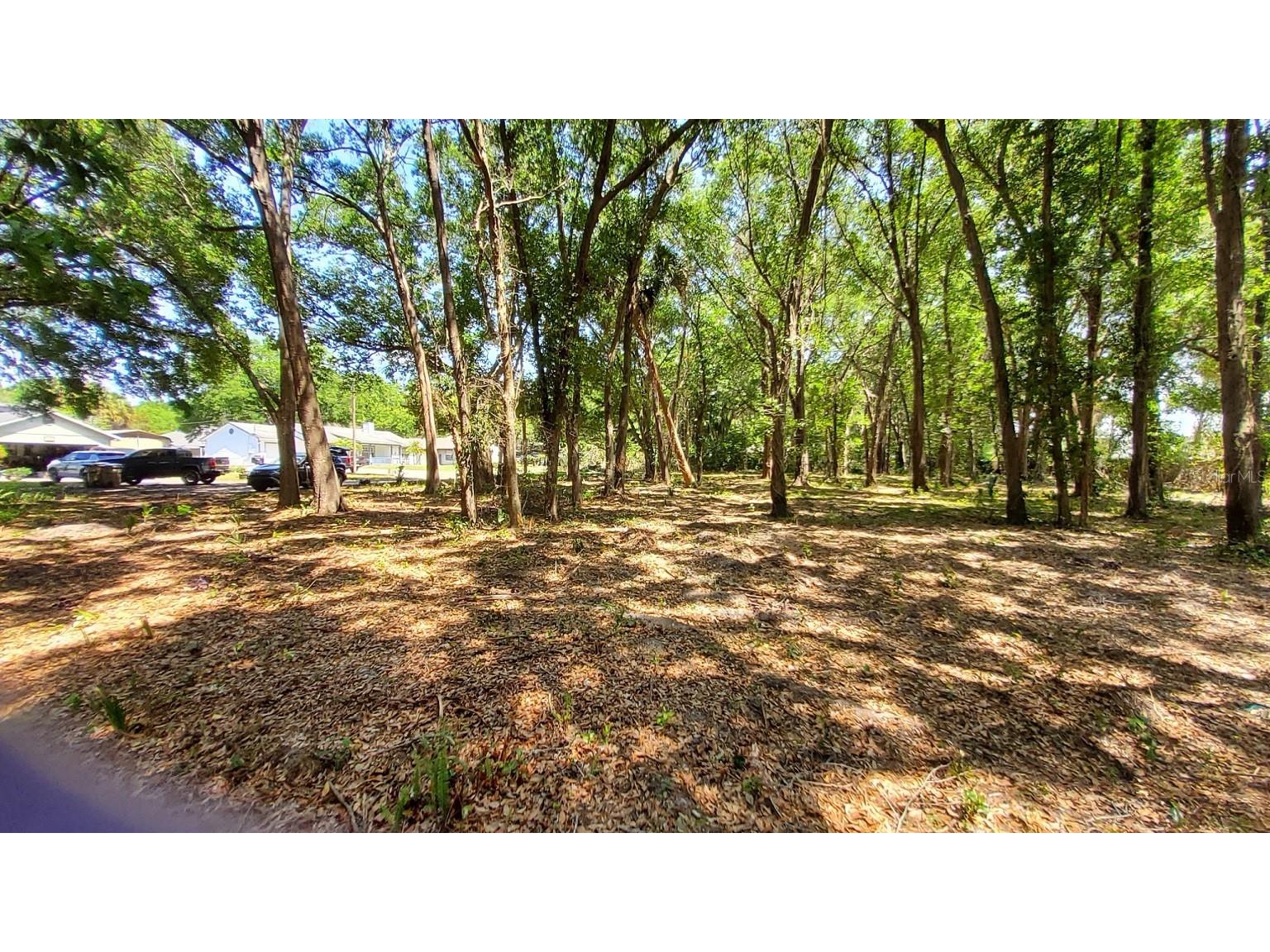 25050 Algonquin Avenue Mount Plymouth FL 32776 TB8506729 image8
