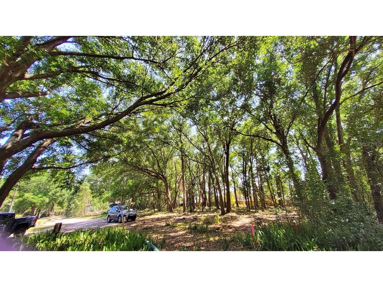 25050 Algonquin Avenue Mount Plymouth FL 32776 TB8506729 image9