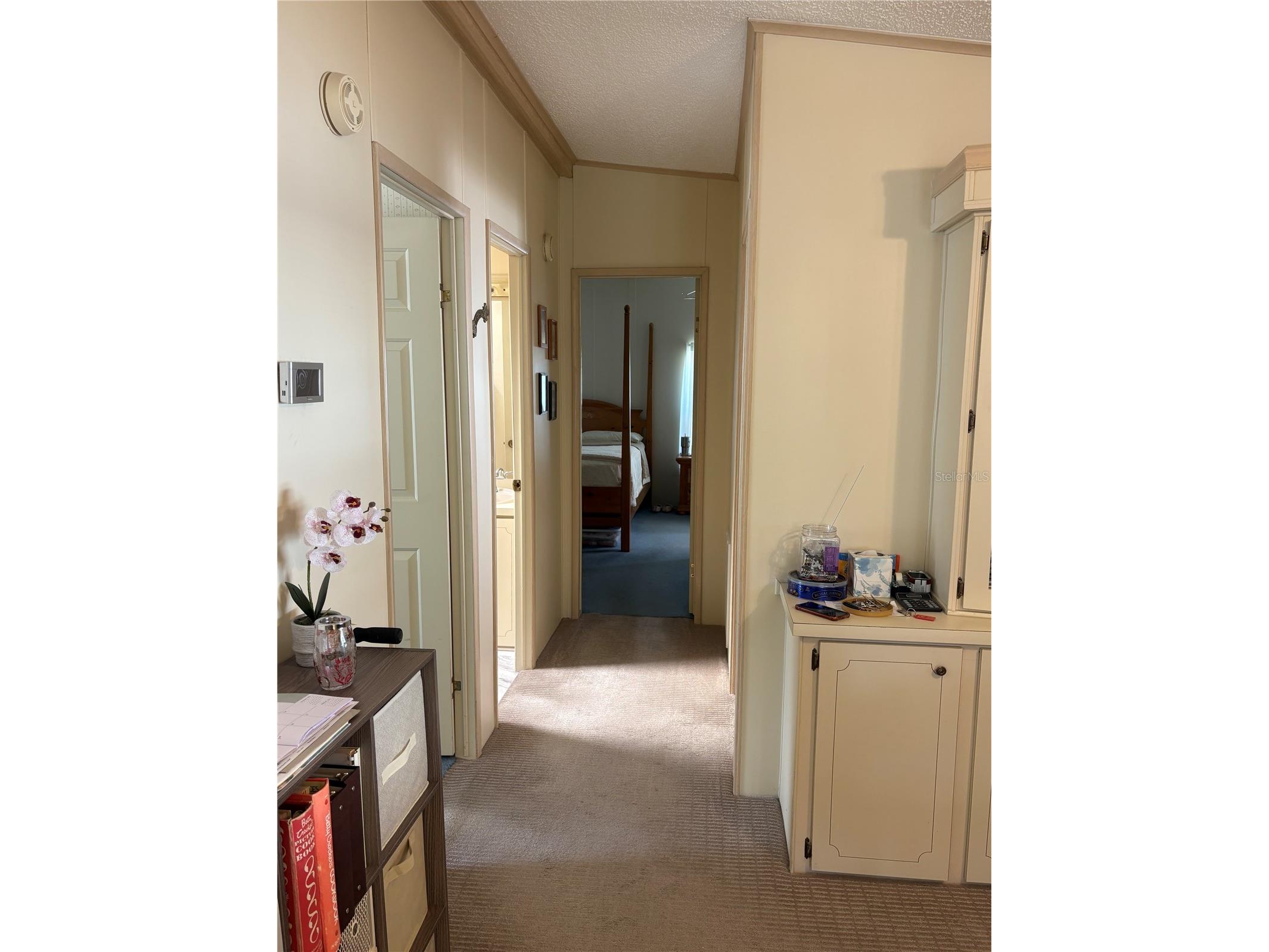 25051 Betton Hill Leesburg FL 34748 G5106645 image23