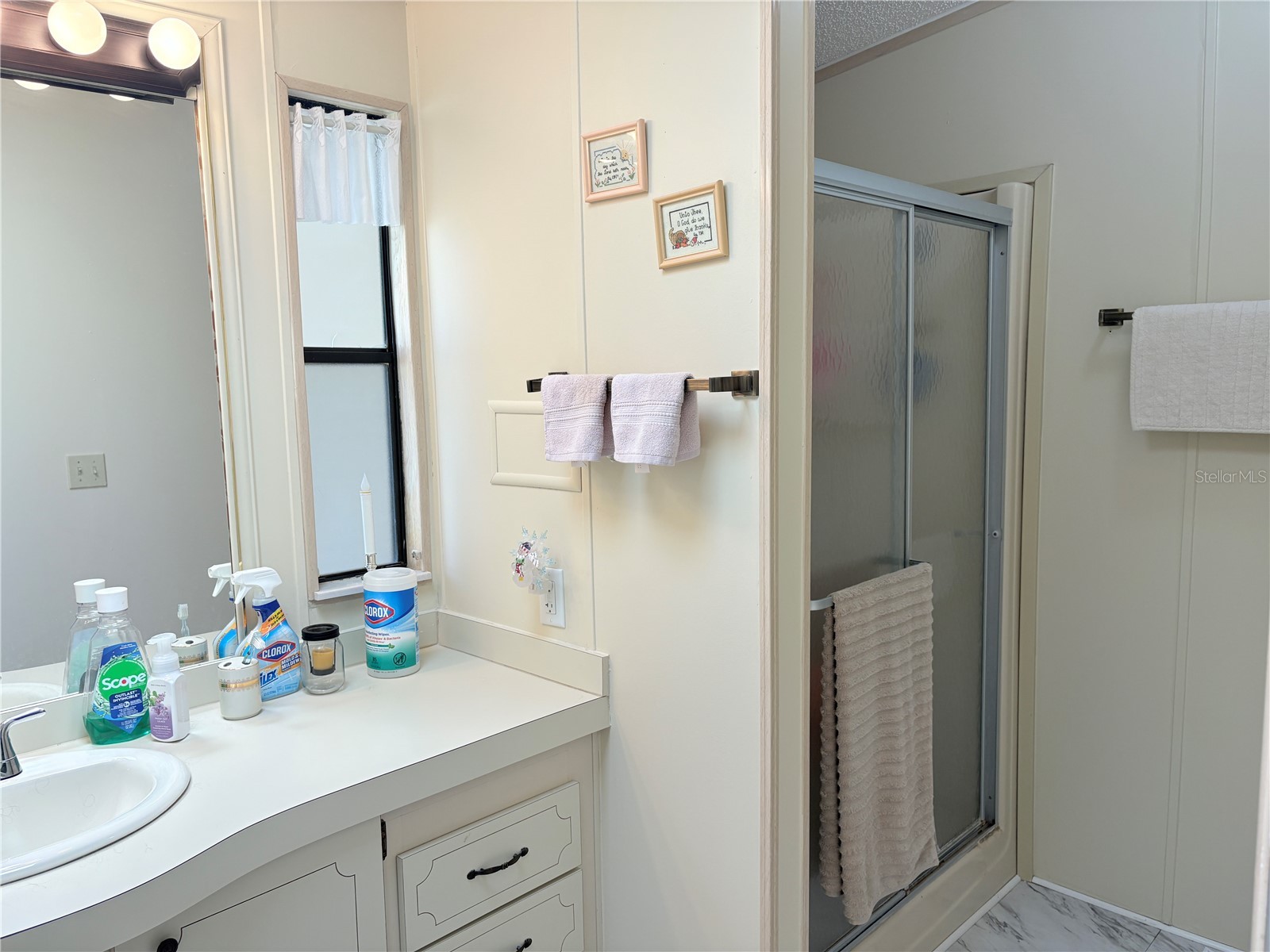 25051 Betton Hill Leesburg FL 34748 G5106645 image33