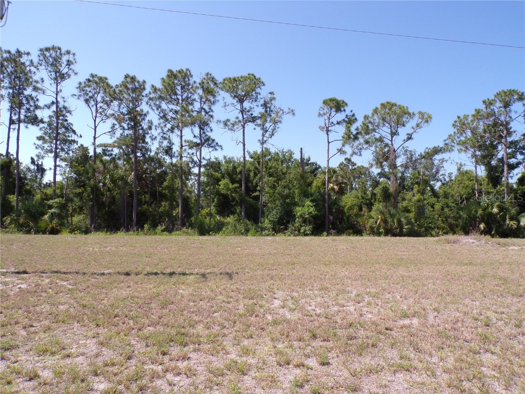 25051 Doredo Drive Punta Gorda FL 33955 C7493408 image11