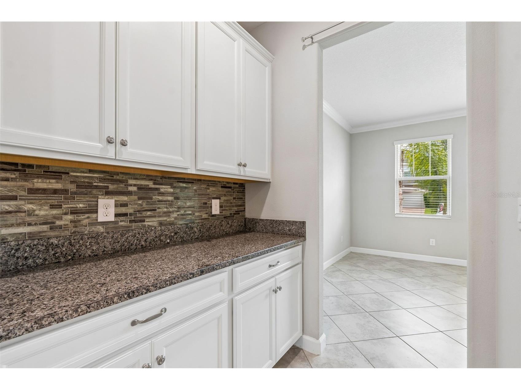 25057 Lambrusco Loop Lutz FL 33559 TB8529147 image16
