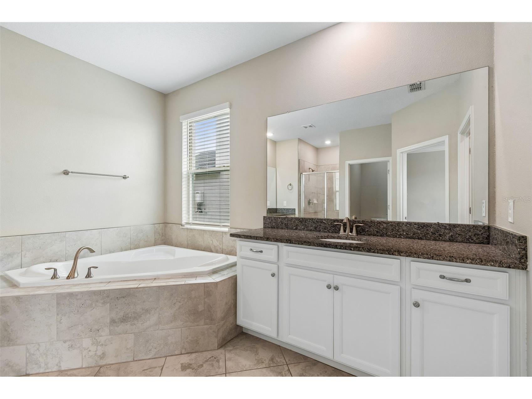 25057 Lambrusco Loop Lutz FL 33559 TB8529147 image28