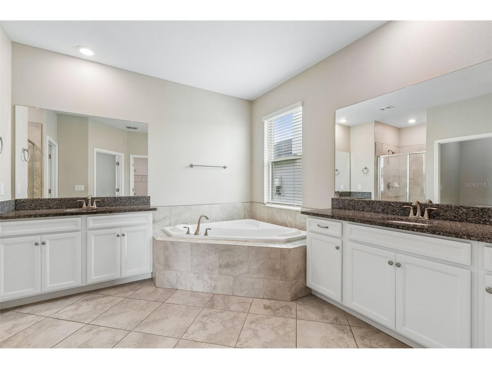 25057 Lambrusco Loop Lutz FL 33559 TB8529385 image27