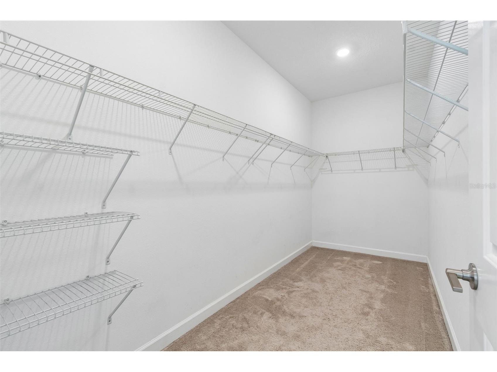 25057 Lambrusco Loop Lutz FL 33559 TB8529385 image31