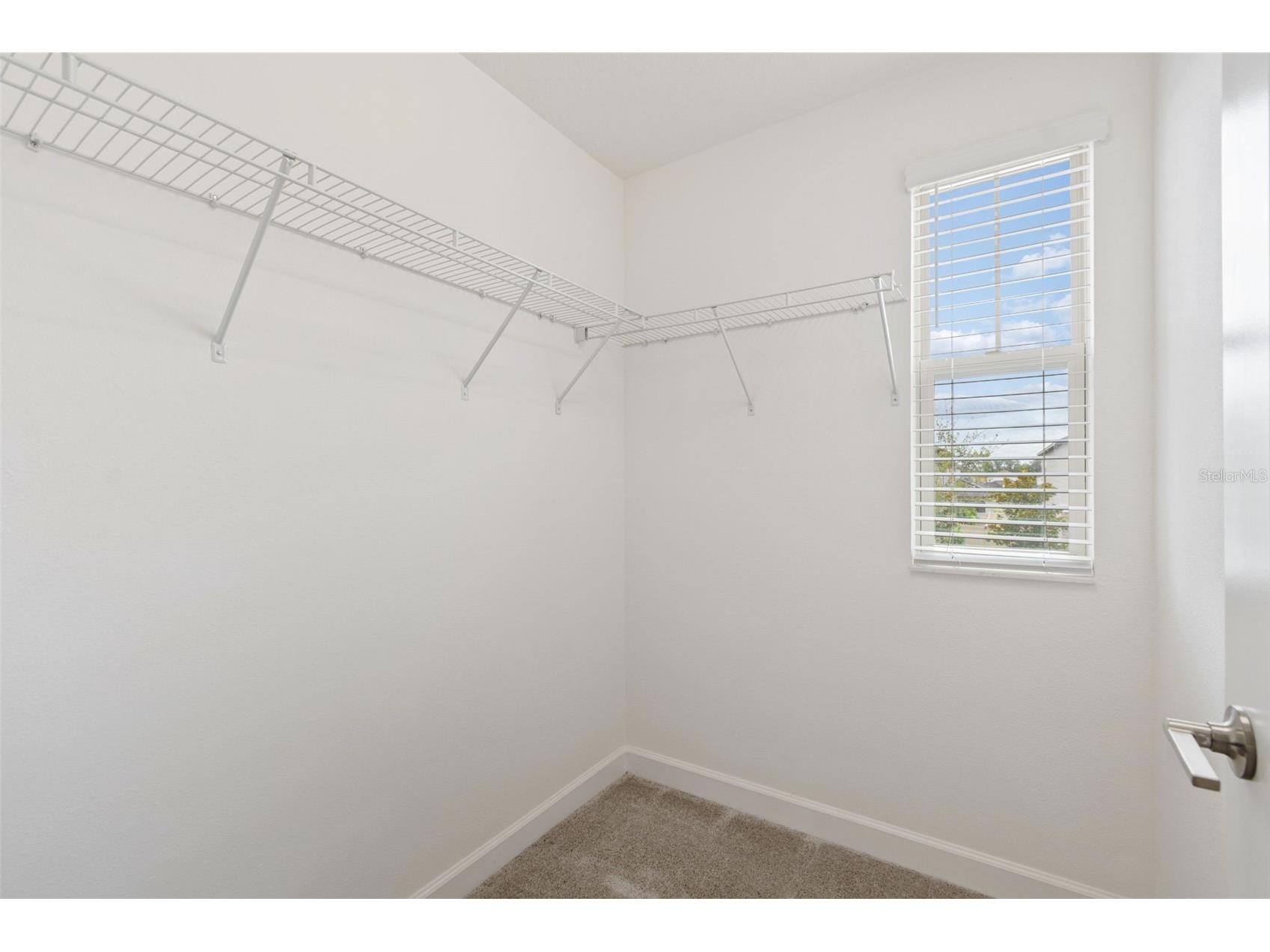 25057 Lambrusco Loop Lutz FL 33559 TB8529385 image38