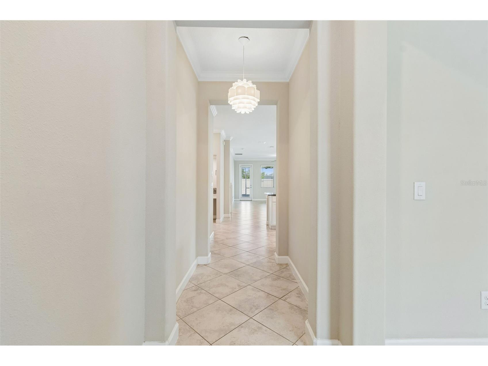 25057 Lambrusco Loop Lutz FL 33559 TB8529385 image5
