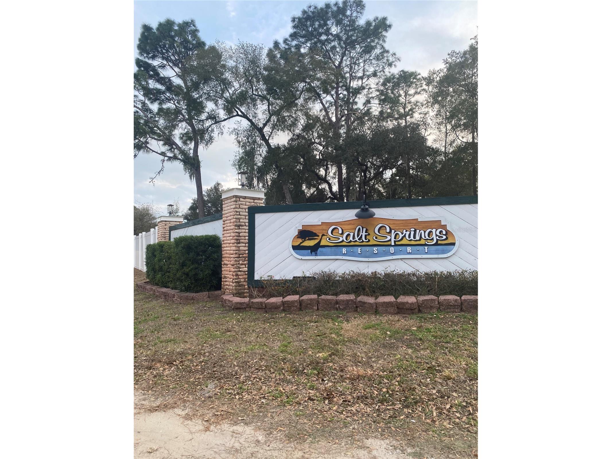 25059 NE 143rd Place NE #102 Fort Mc Coy FL 32134 W7883282 image40