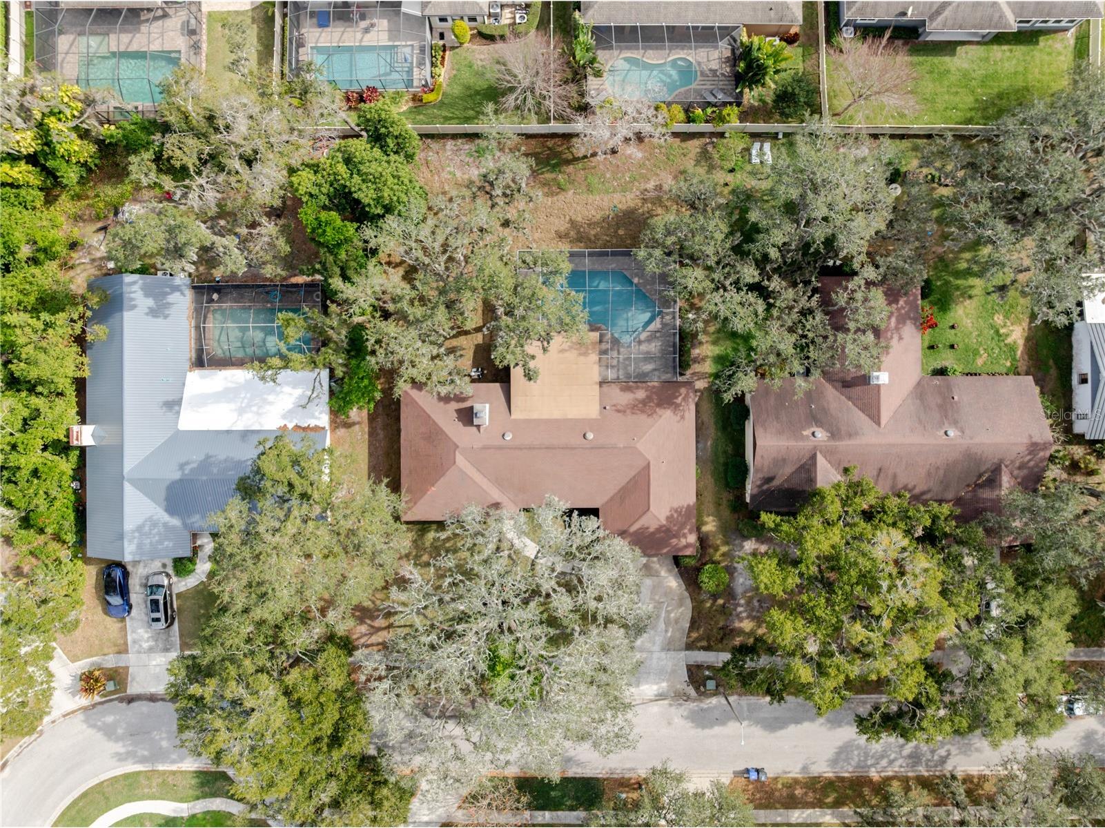 2506 College Hill Drive Brandon FL 33511 TB8464282 image50