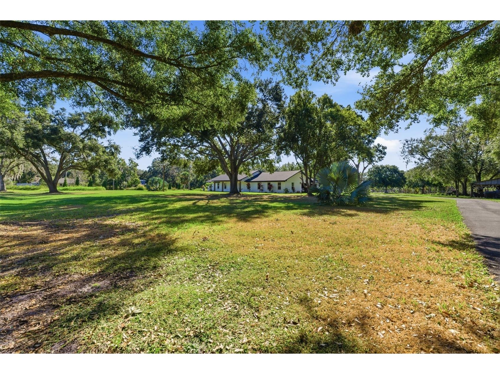 2506 Hawk Griffin Road Plant City FL 33565 TB8446950 image44