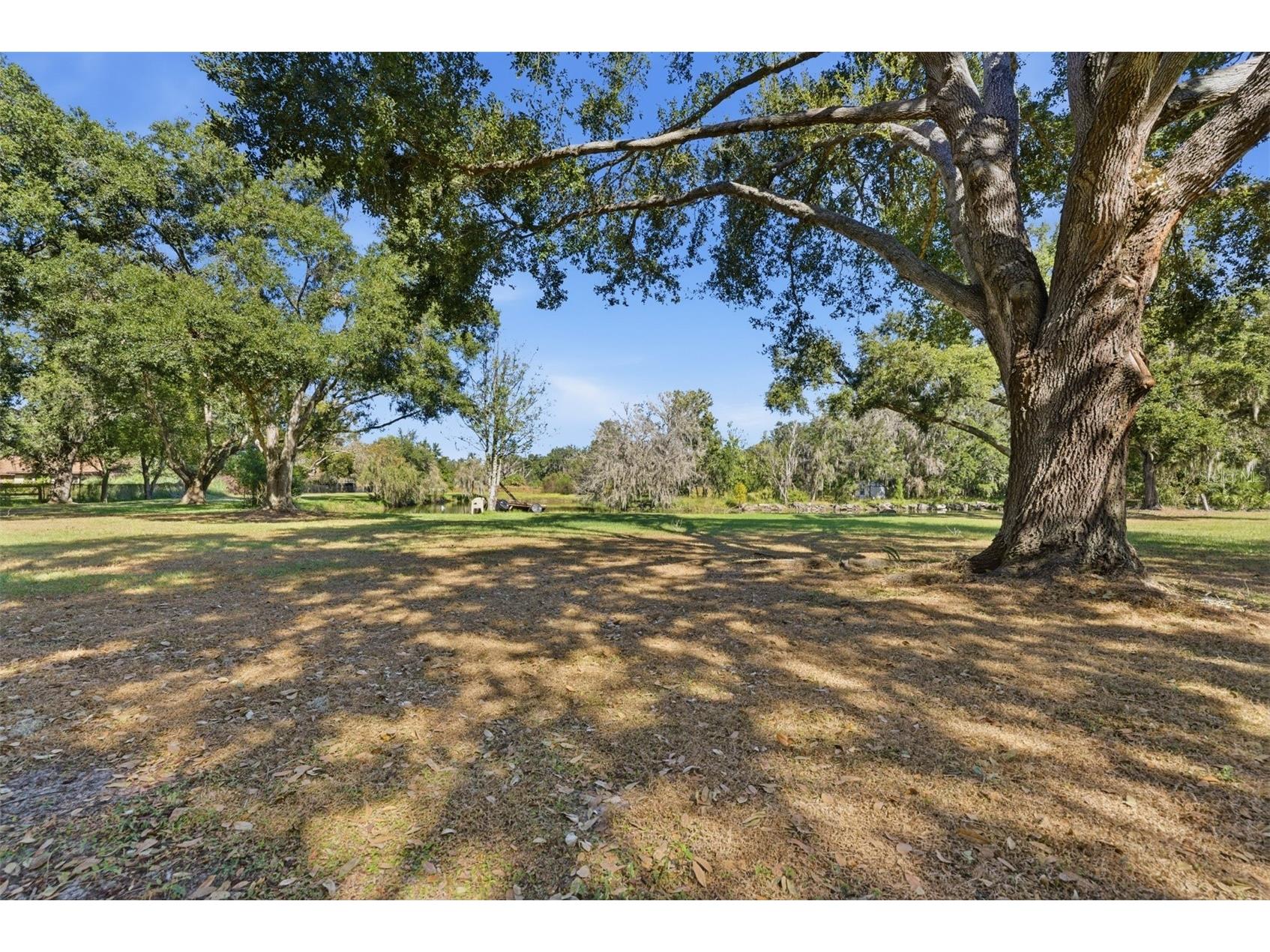2506 Hawk Griffin Road Plant City FL 33565 TB8446950 image45