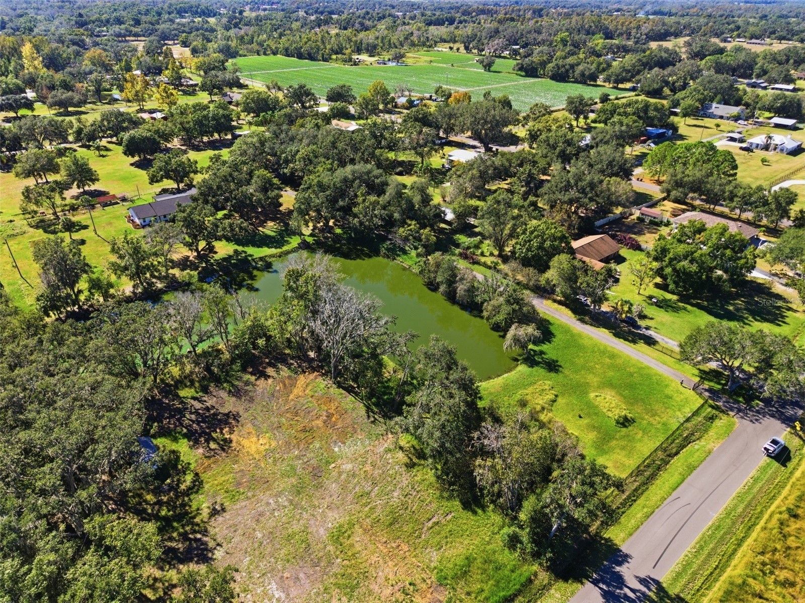 2506 Hawk Griffin Road Plant City FL 33565 TB8446950 image47