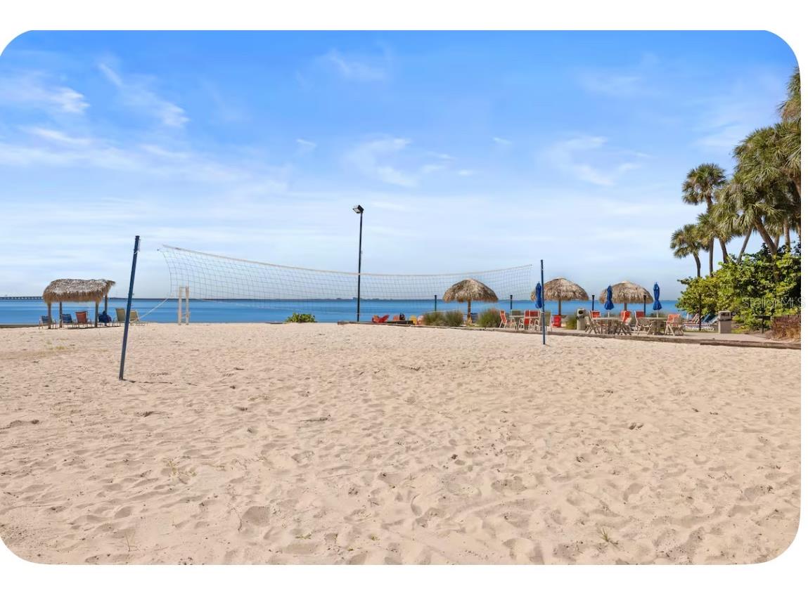 2506 N Rocky Point Drive #209 Tampa FL 33607 TB8481509 image10