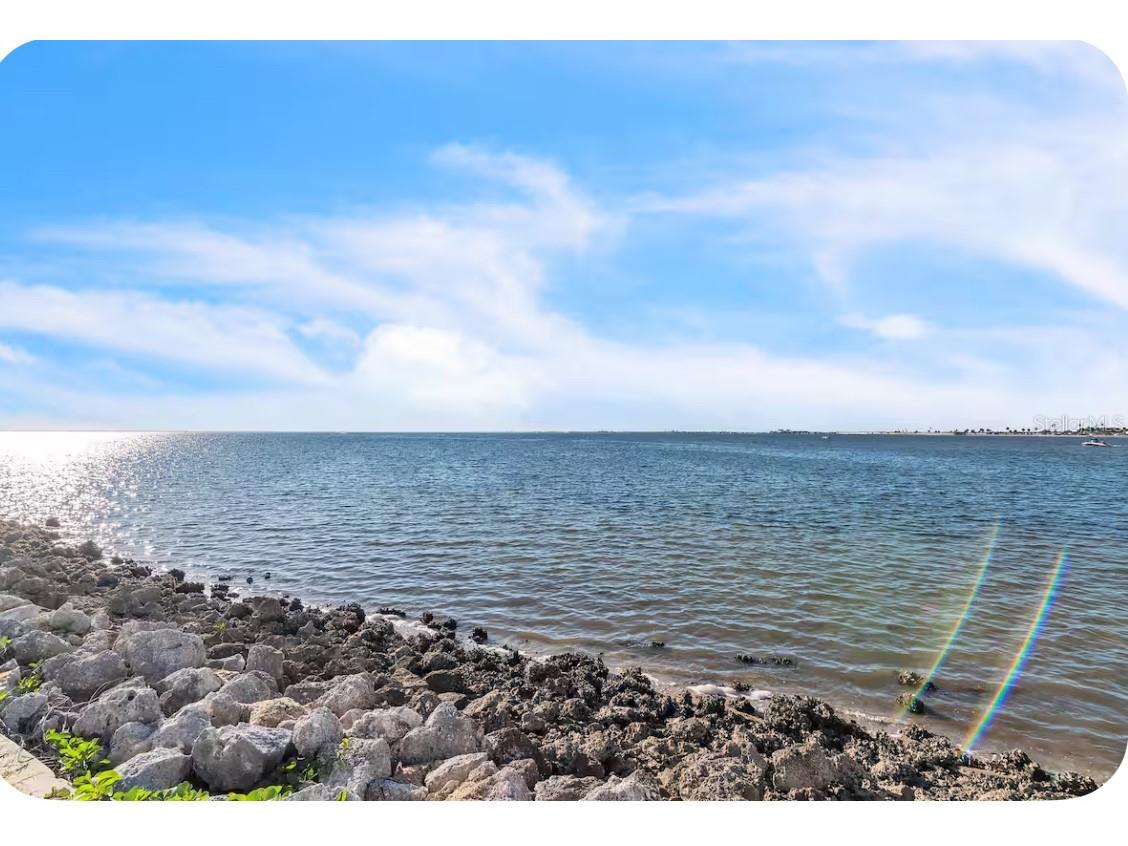 2506 N Rocky Point Drive #209 Tampa FL 33607 TB8481509 image11