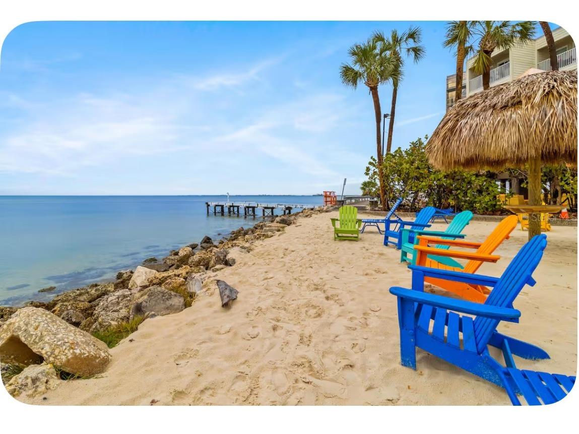 2506 N Rocky Point Drive #209 Tampa FL 33607 TB8481509 image12