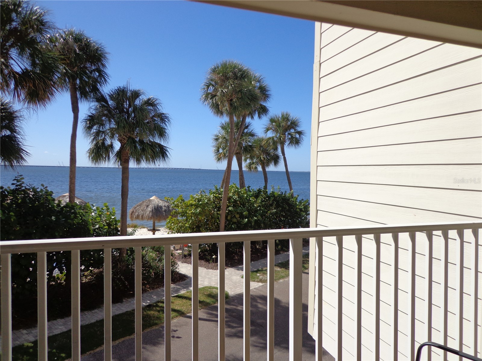 2506 N Rocky Point Drive #229 Tampa FL 33607 TB8429969 image12