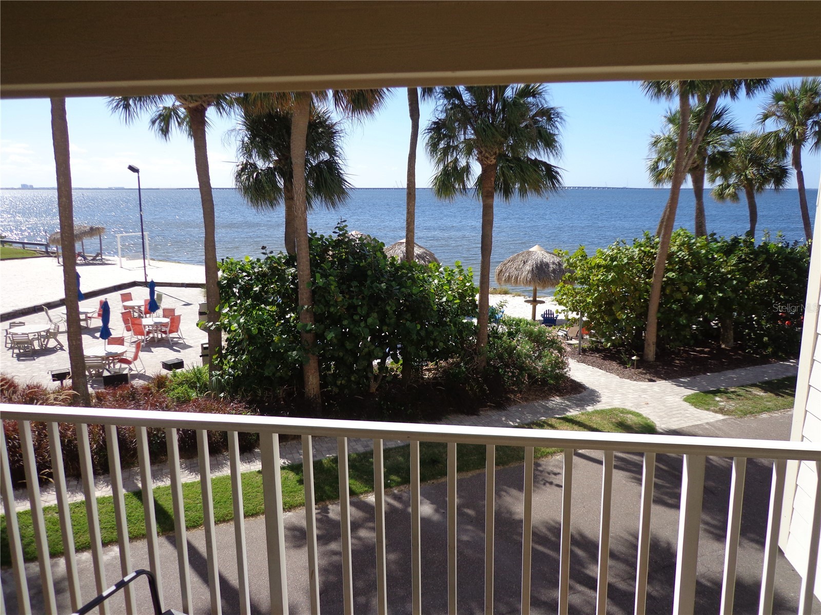 2506 N Rocky Point Drive #229 Tampa FL 33607 TB8429969 image16