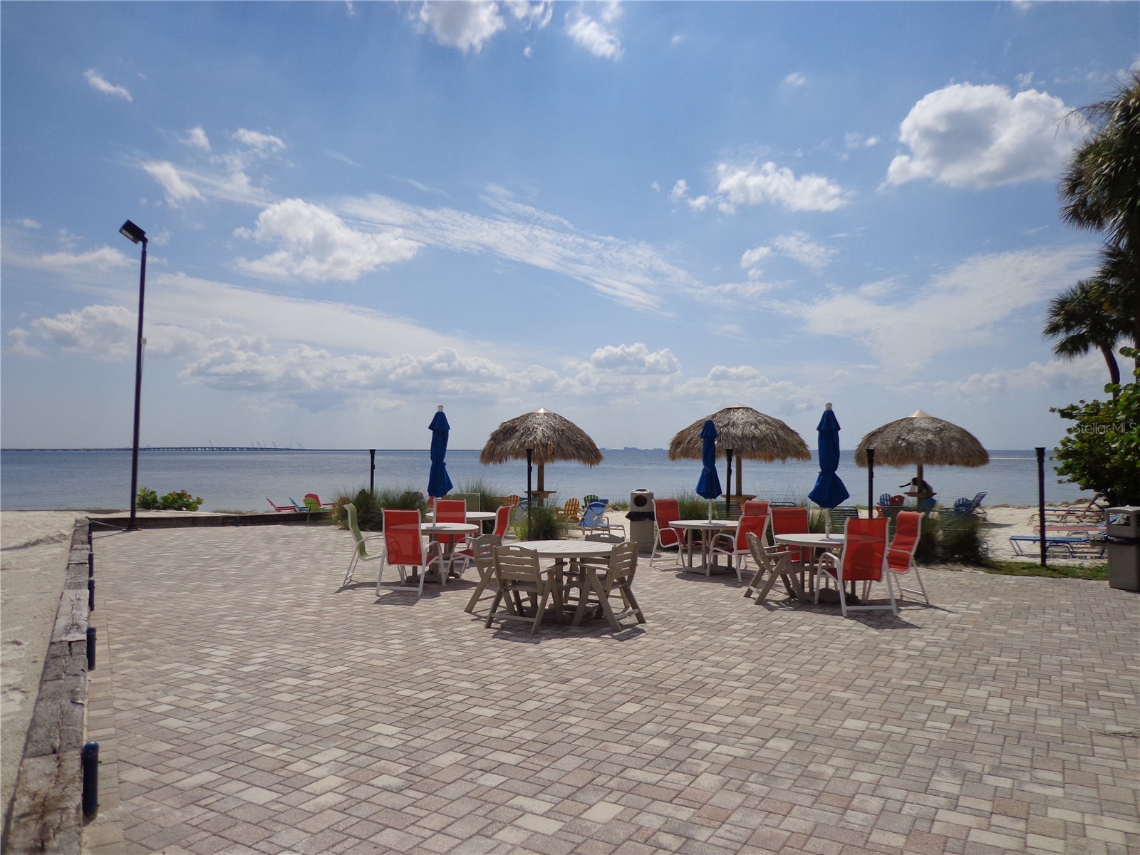 2506 N Rocky Point Drive #229 Tampa FL 33607 TB8429969 image22