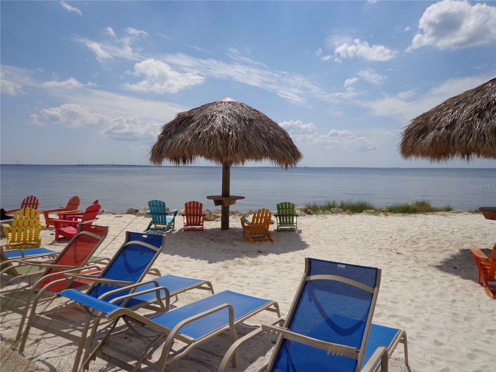 2506 N Rocky Point Drive #229 Tampa FL 33607 TB8429969 image23