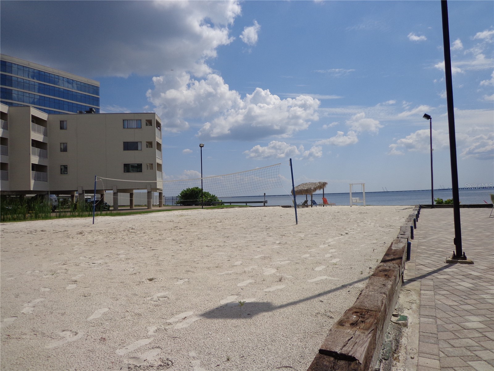 2506 N Rocky Point Drive #229 Tampa FL 33607 TB8429969 image24