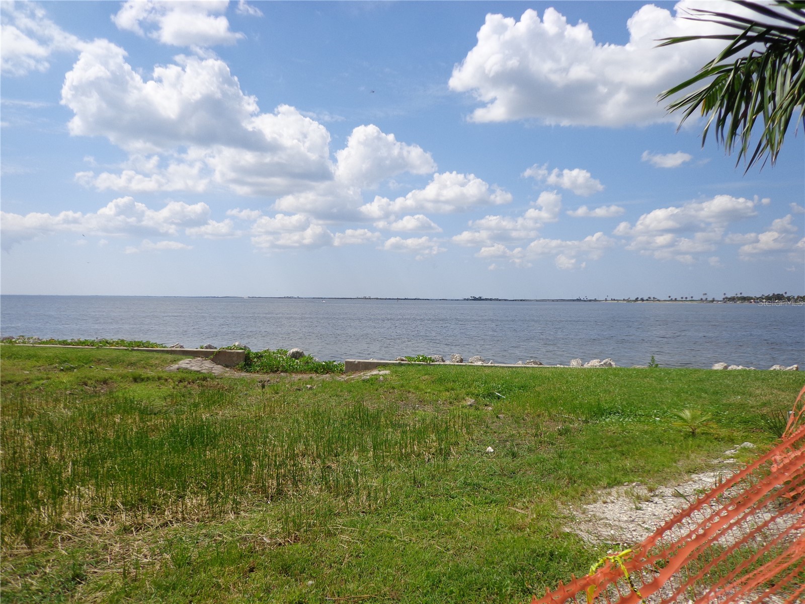 2506 N Rocky Point Drive #229 Tampa FL 33607 TB8429969 image25