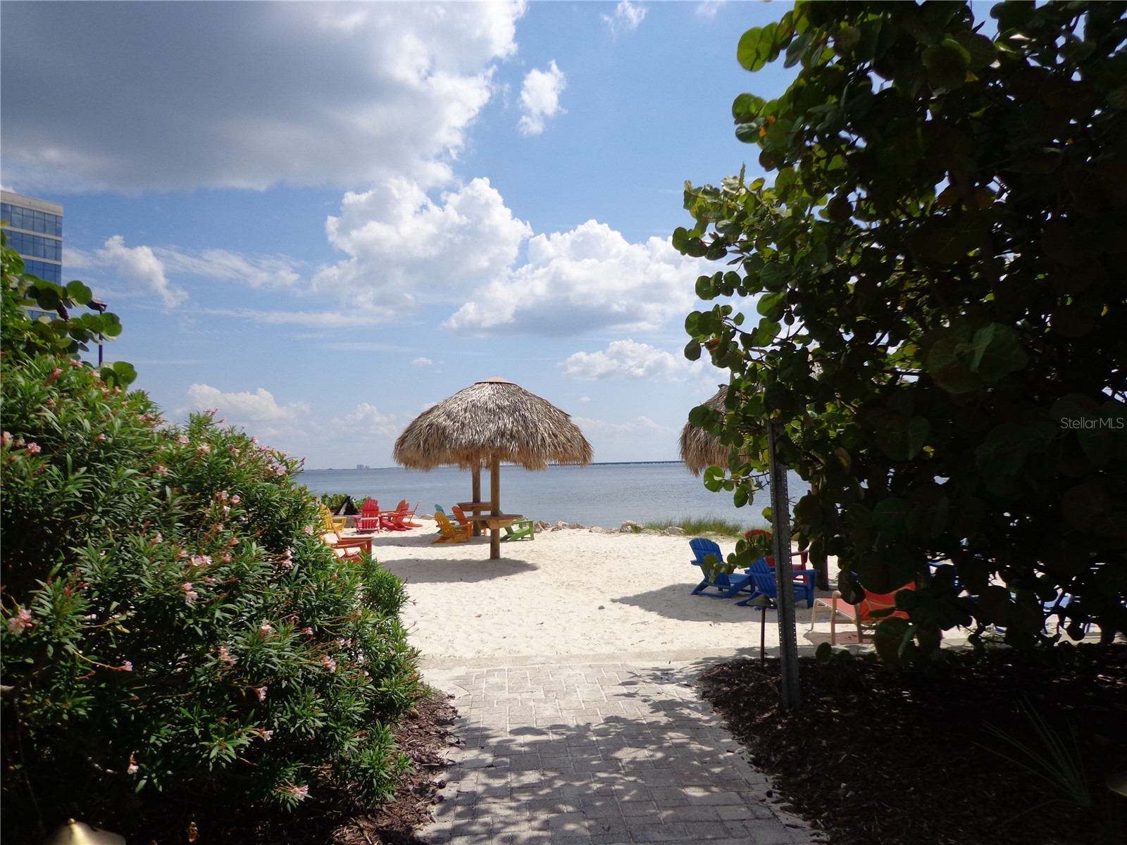 2506 N Rocky Point Drive #229 Tampa FL 33607 TB8429969 image26