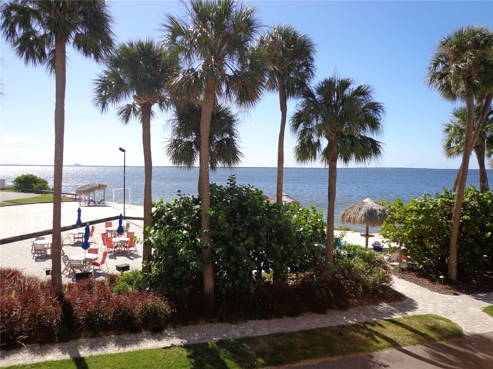 2506 N Rocky Point Drive #229 Tampa FL 33607 TB8429969 image27