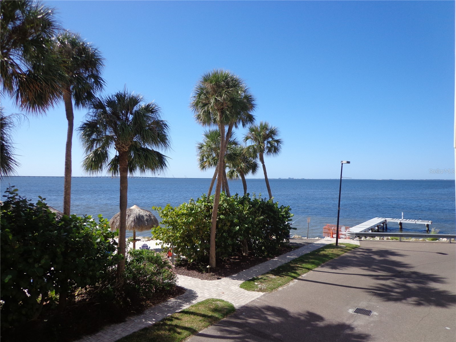 2506 N Rocky Point Drive #229 Tampa FL 33607 TB8429969 image28